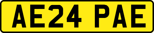AE24PAE