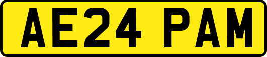 AE24PAM