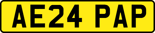 AE24PAP