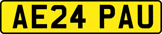 AE24PAU