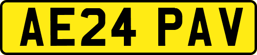 AE24PAV