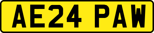 AE24PAW