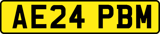 AE24PBM
