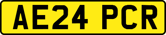AE24PCR