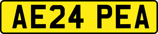 AE24PEA