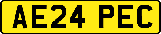AE24PEC