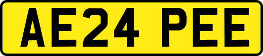 AE24PEE
