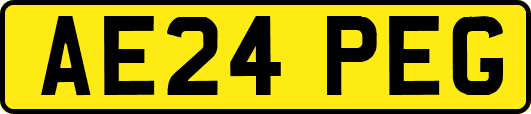 AE24PEG