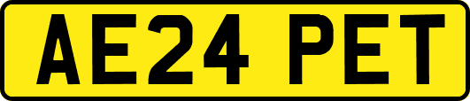AE24PET