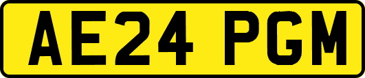 AE24PGM