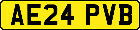 AE24PVB
