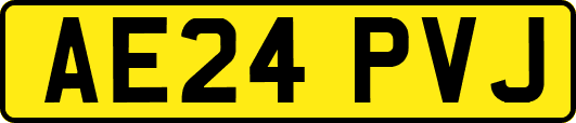 AE24PVJ