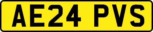 AE24PVS