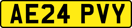 AE24PVY