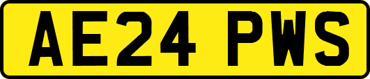 AE24PWS