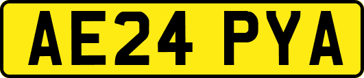 AE24PYA