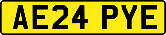 AE24PYE