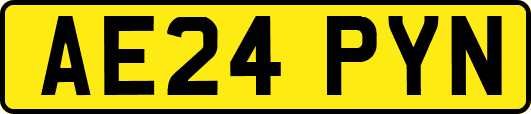 AE24PYN