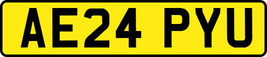 AE24PYU