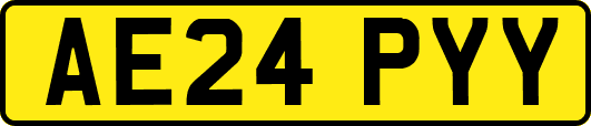 AE24PYY