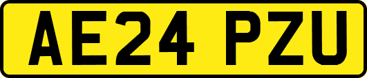 AE24PZU
