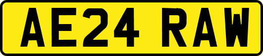 AE24RAW