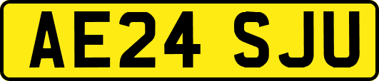 AE24SJU