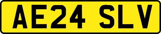 AE24SLV