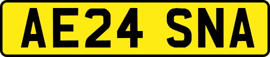 AE24SNA
