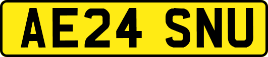 AE24SNU