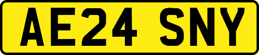 AE24SNY