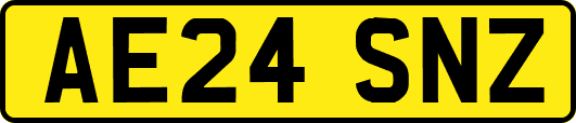AE24SNZ