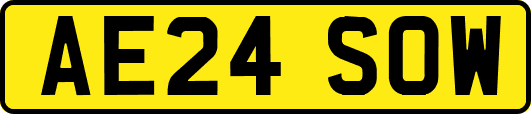 AE24SOW