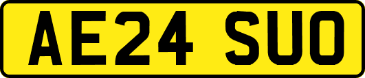 AE24SUO