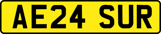 AE24SUR