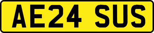AE24SUS
