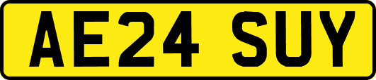 AE24SUY