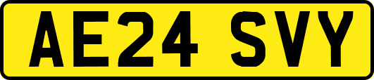 AE24SVY