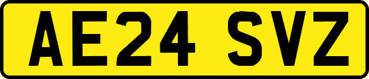 AE24SVZ