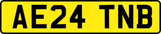 AE24TNB