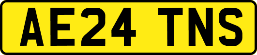 AE24TNS