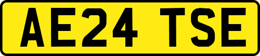 AE24TSE