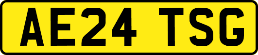 AE24TSG