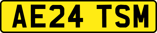AE24TSM