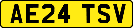 AE24TSV
