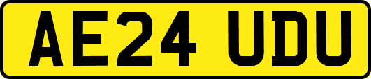 AE24UDU