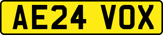AE24VOX