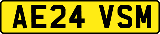 AE24VSM