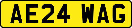 AE24WAG
