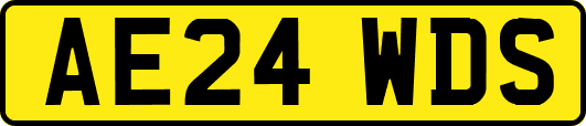 AE24WDS